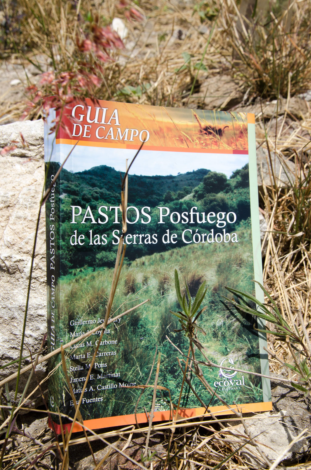 Tapa del libro Pastos Posfuego de las Sierras de Córdoba.