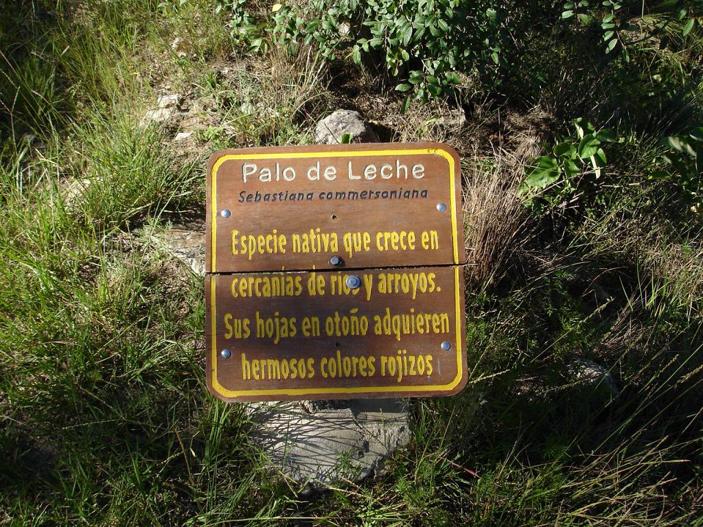 Cartel informativo en Cuesta Blanca, en la bajada al río conocida, con toda propiedad, como 