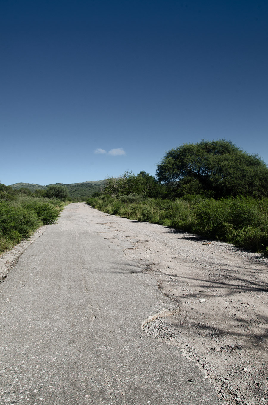 Así comienza, con un asfalto que el tiempo reclama, el camino que atraviesa la Reserva Natural Militar la Calera. 

Me gusta este camino, ruinado, polvoriento, que nadie usa ya. 

Voy caminando solo, dialogando conmigo mismo. 

Adelante, sólo sierras y un profundo cielo azul.