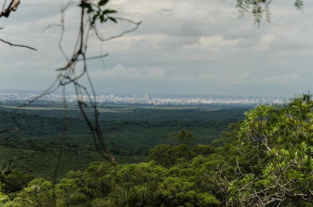 La ciudad de Córdoba, vista desde lo alto de un cerro de la Reserva, que se ve como una gran mancha gris en el horizonte.