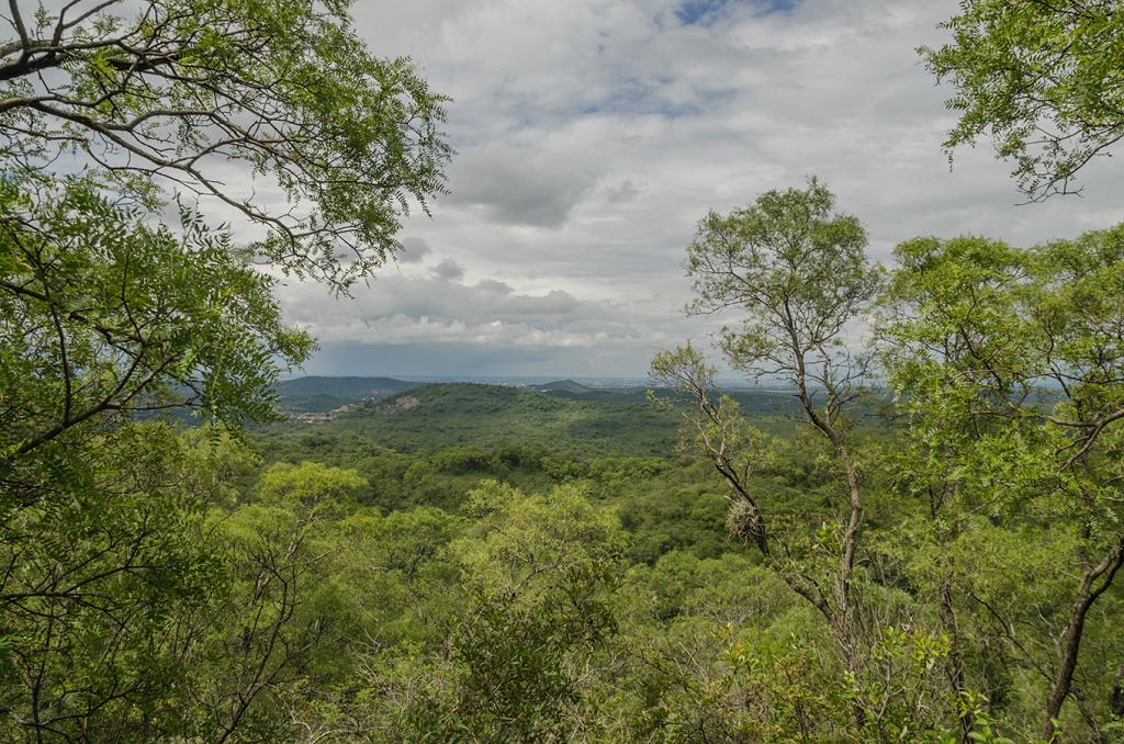 A la distancia, sólo cerros y cerros con monte nativo. Y todo, tan cerca de Córdoba que es un milagro que aún se conserve.