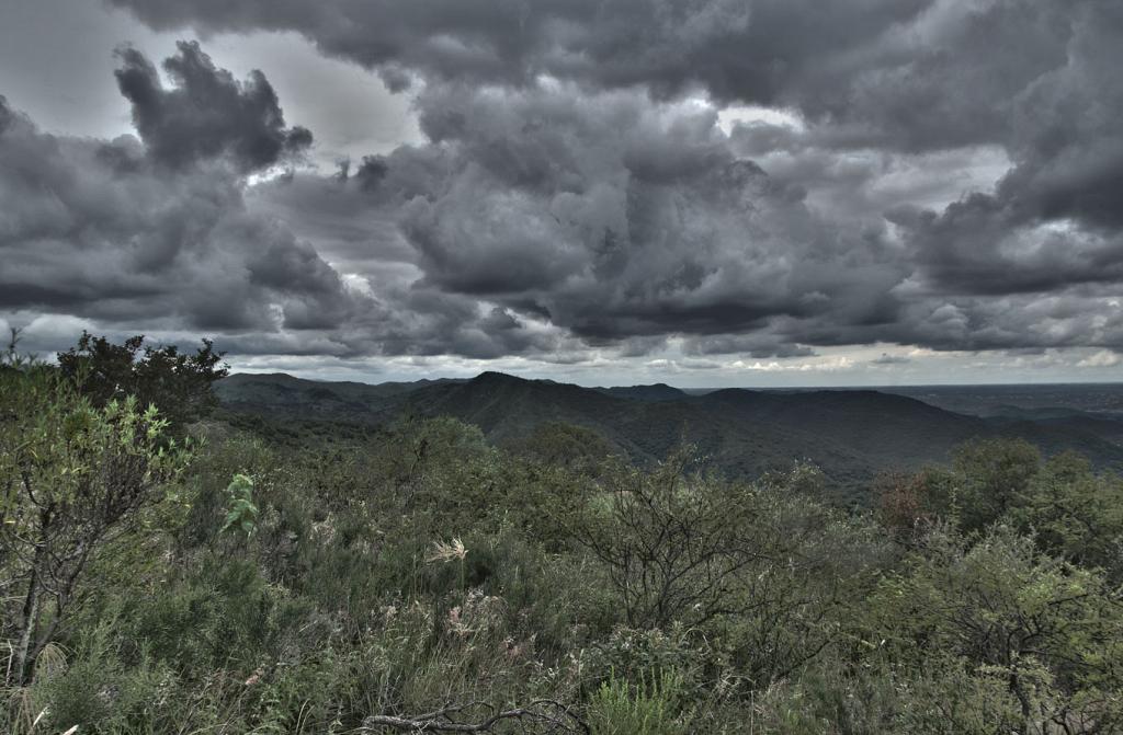 Hasta donde la vista se pierde, una mar verde y ondulante de cerros y sierras, dominio del soberbio Orco Quebracho.